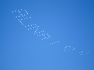 skywriting-proposal1