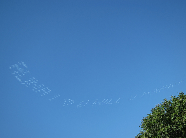 skywriting-proposal2