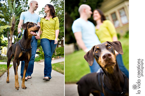 engagement-pet-4