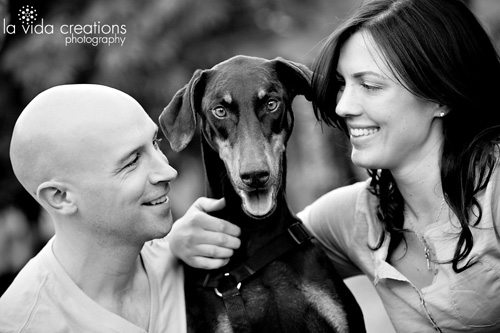 engagement-pet-5