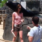 Sea Lion Proposal