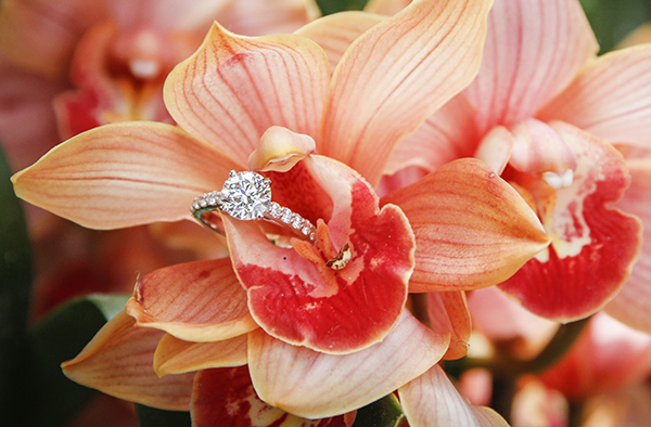 Tim and Sunna spring proposal engagement ring