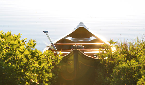 Boat ride proposal idea