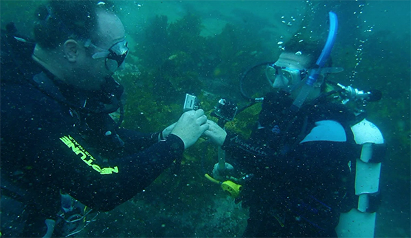 Underwater proposal engagement ring