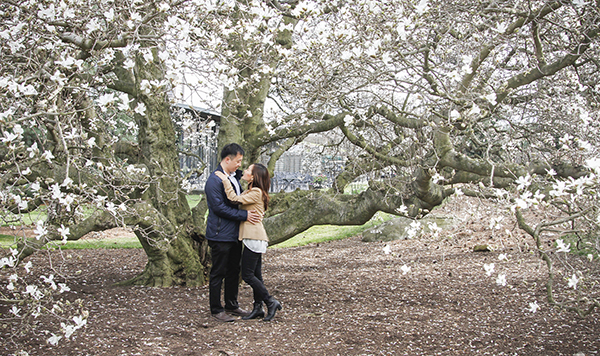 cherry blossom proposal idea