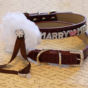 marry me collar ebay