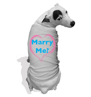 marry me dog outfit