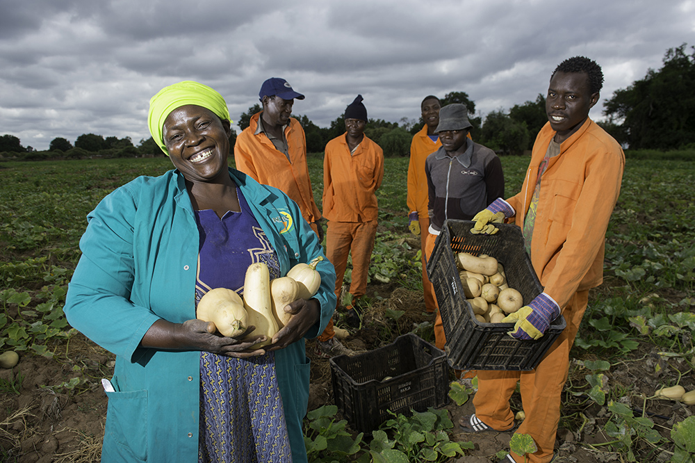 TSHIMANGAZO MERCY RAMBUDA is a farm owner East of musina, who was assisted by the Zimele fund to buy and equip her Sithayu farm near Nwansdi. The farm produces vegetables and maize which is all sold locally. The farm employs 10 local people.