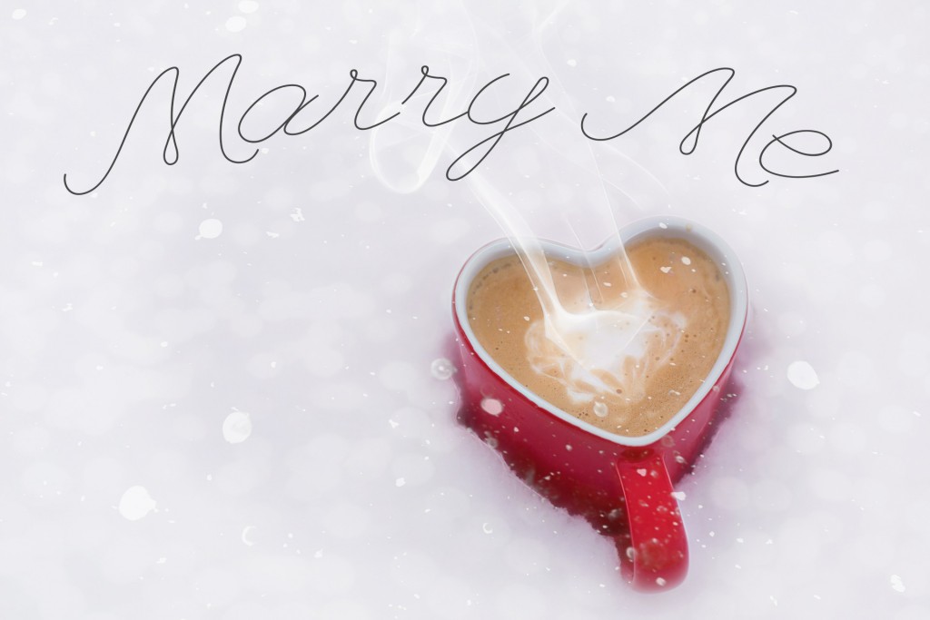 marry-me-snow