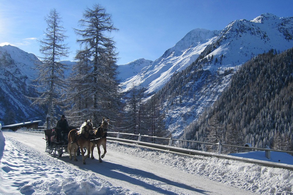 snow-horse-carriage-proposal