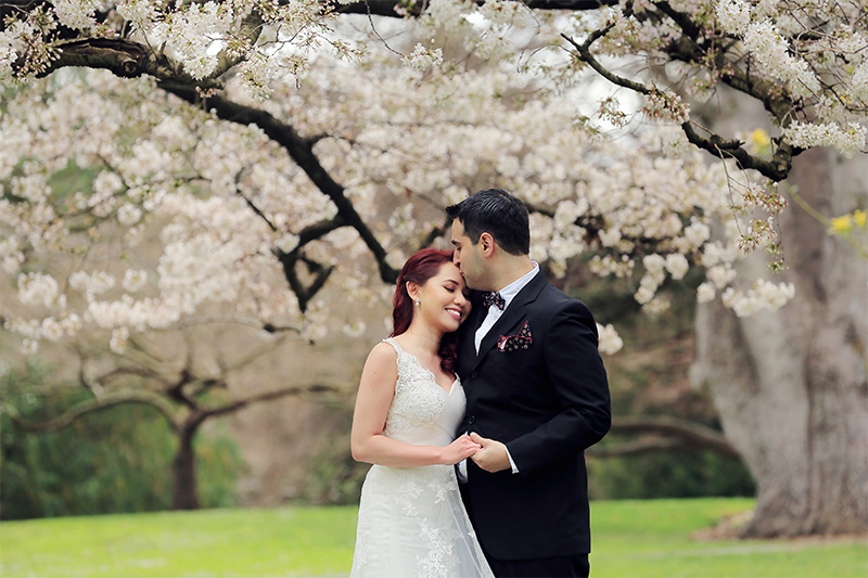 cherry blossom proposal