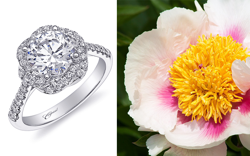 peony engagement ring coast diamond