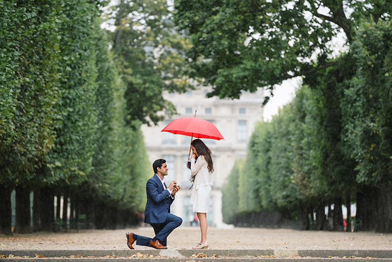 paris proposal fan photography