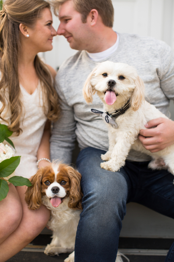 happy proposal with dogs