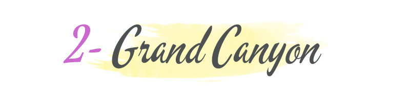 grand canyon banner