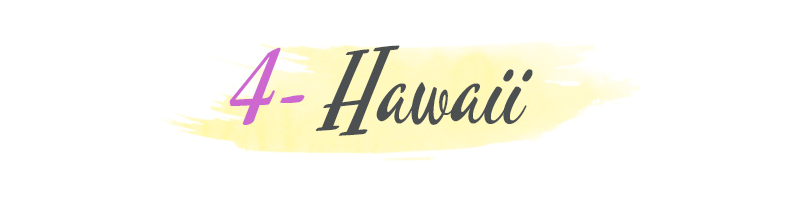 hawaii proposal banner
