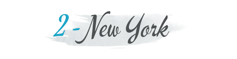 new york banner