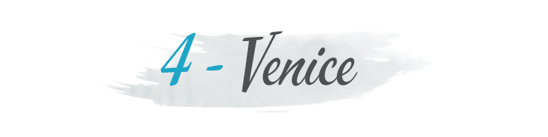 venice banner
