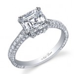 Bachelor Ali Fedotowsky's Engagement Ring