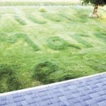Man Grows Proposal in Lawn