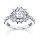 Give a star your fiancee's name with Barkev's