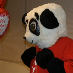 Creative Panda Proposal!
