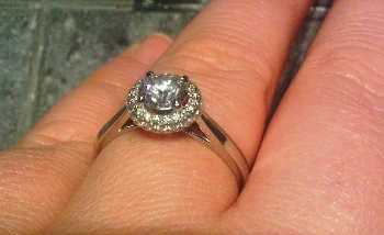 A Day-Long Proposal in Chicago