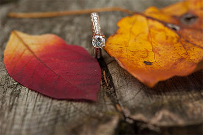 An Adorable Proposal