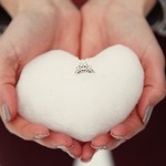 A Perfect Day for a Snow Engagement Session