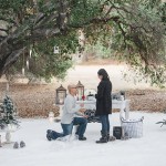 A Winter Wonderland Proposal in... Malibu!