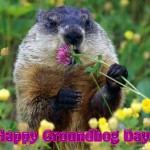 Groundhog Day Proposal Ideas