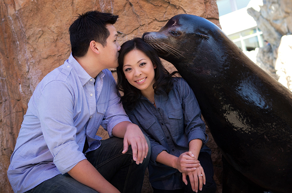 A Magical Aquarium Engagement Session