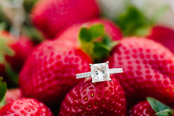 A Strawberry Picking Engagement Session