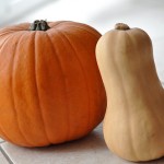 Pumpkin Delicacy Proposal Ideas