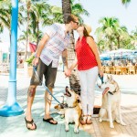 Must Love Dogs Proposal