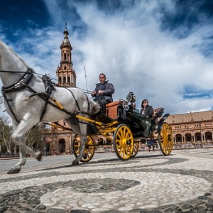 A horse carriage