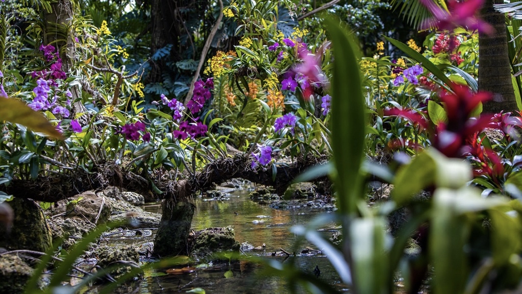 miamibotanicalgardens